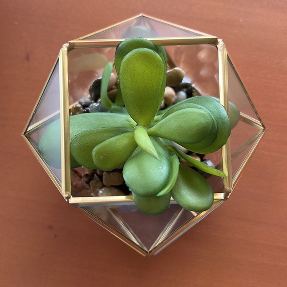 Set of 2 Opalhouse Filled Terrarium Faux Succulent Plant 4”x4” - Picture 3 of 9